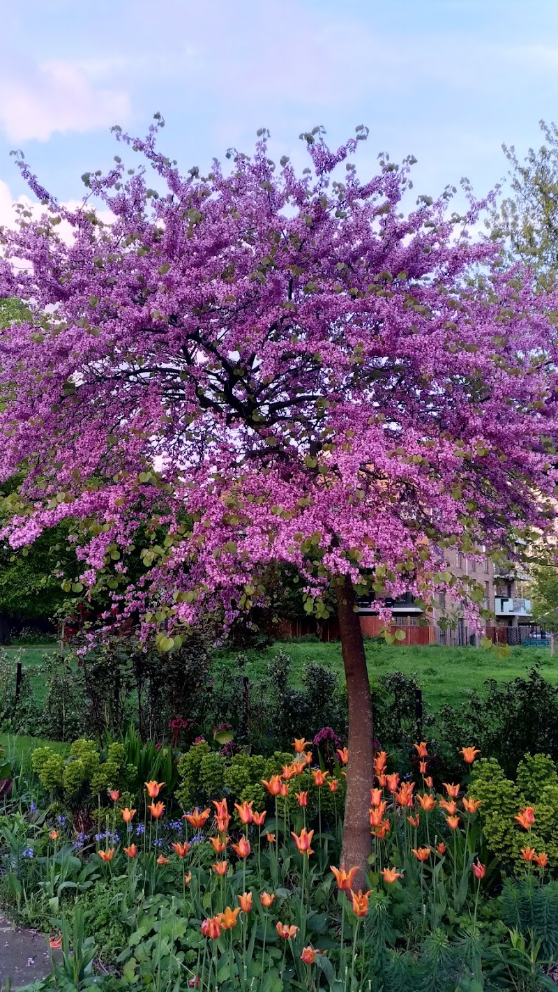 Old English Garden - Old English Garden, 4 St Agnes Pl, London SE11 4BE, UK