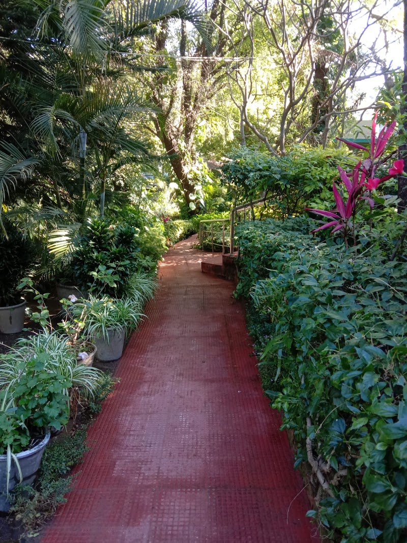 Rising Sun Retreat - Rising Sun Retreat near Old Municipal Check Post, Mount Abu, Rajasthan 307501, India