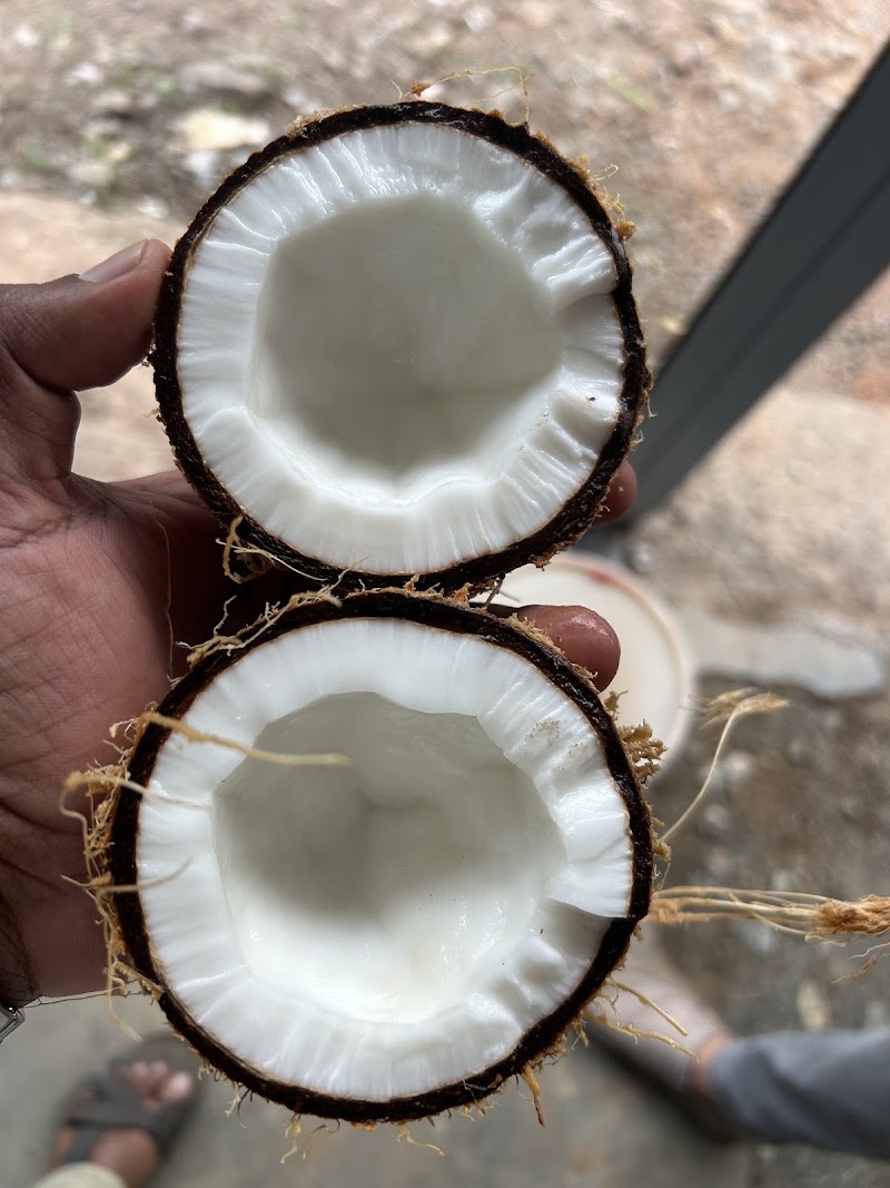Spiceorg - Spiceorg near GLP school, Palukunnu, Anjukunnu, Kerala 670645, India