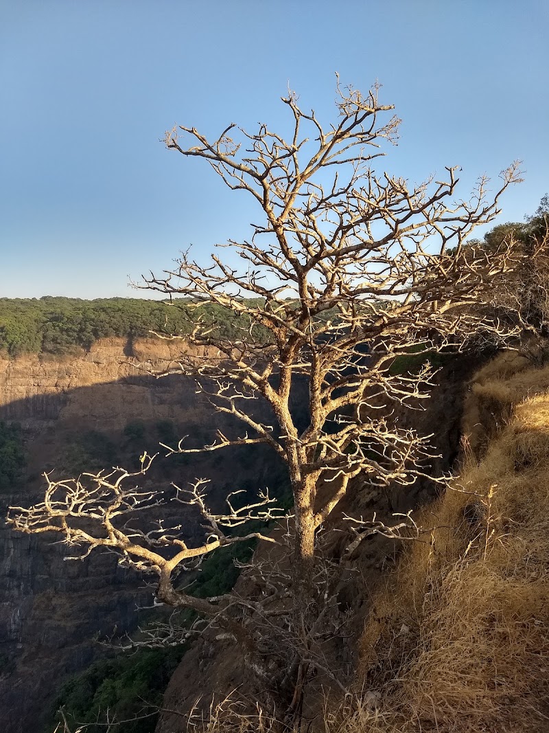 Porcupine point - Porcupine point 2726+QWJ, Maldunge, Maharashtra 410206, India