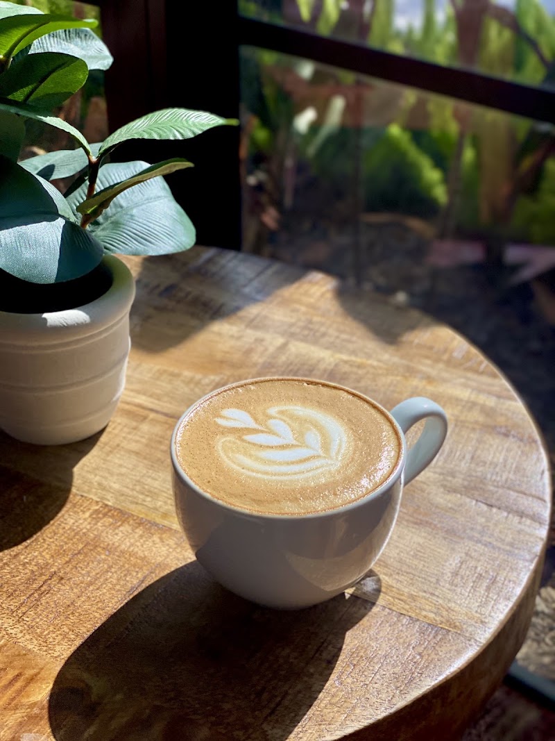 Common Grounds Brew & Roastery - Common Grounds Brew & Roastery, 3065 S Dixie Hwy, West Palm Beach, FL 33405, USA