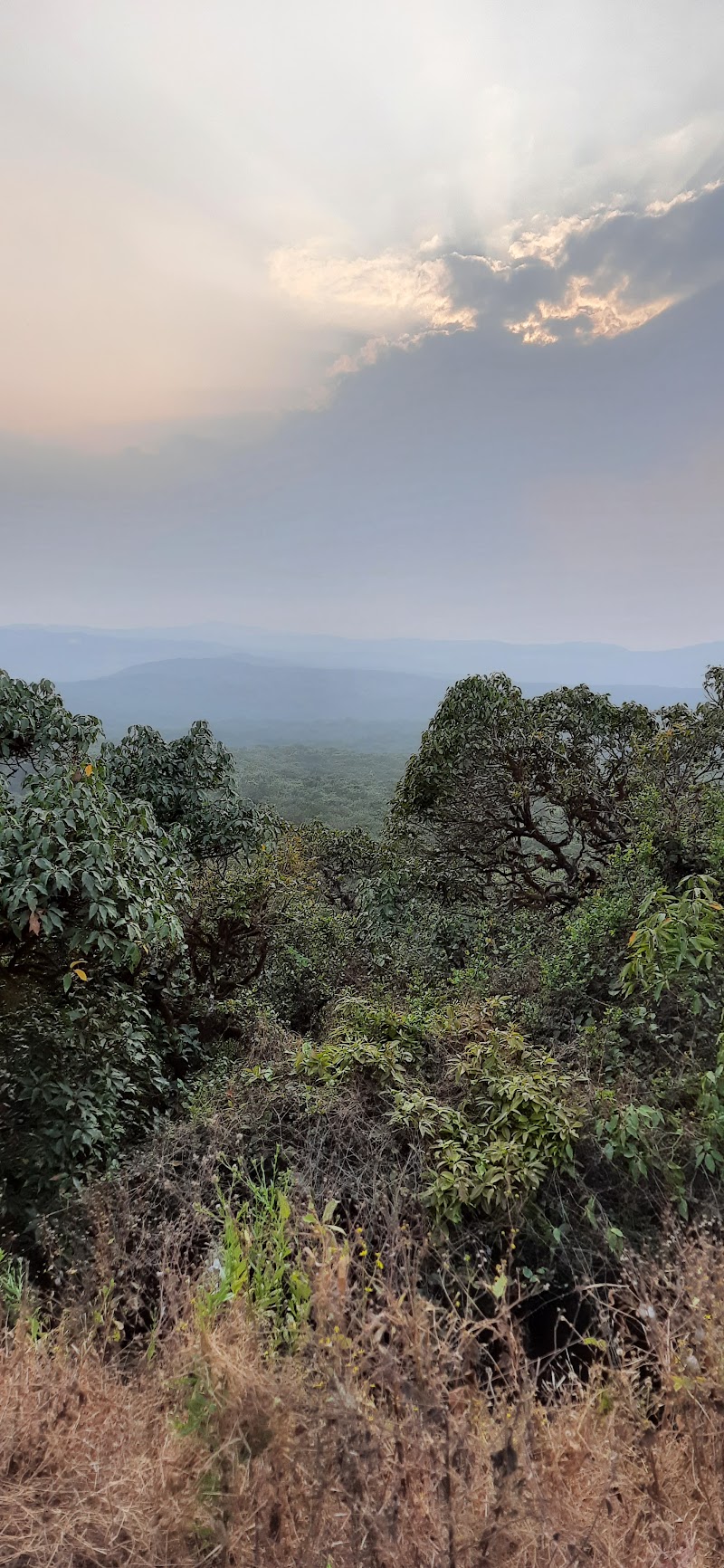 Savitri Point - Savitri Point, XJFQ+M4R, Lahulase, Maharashtra 412806, India