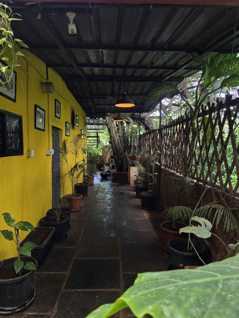 Minapattu® 🔥 ( Dosa Place ) - Minapattu® 🔥 ( Dosa Place ) H:No - 1632, ZhorWado, near St Anthony Hospital, Anjuna, Goa 403509, India