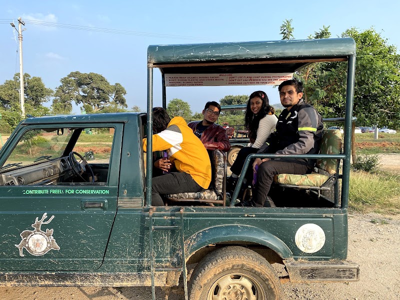 Bandipur Tiger Safari