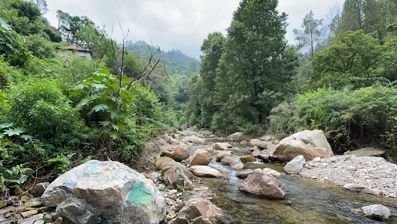 Jhutiya Talla Ramgarh Nainital - Jhutiya Talla Ramgarh Nainital, CHW6+C7R, Kaichi - Ramgarh Rd, Ramgarh, Uttarakhand 263137, India