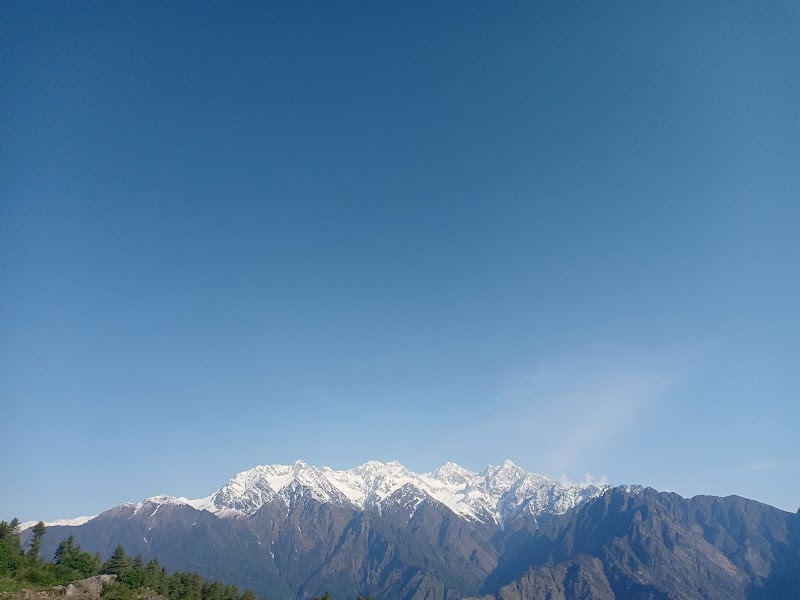 Nanda Devi Wildlife Sanctuary - Nanda Devi Wildlife Sanctuary, Nandadevi range, HHGH+2WV, Auli Rd, Joshimath Army Area, Joshimath, Uttarakhand 246443, India