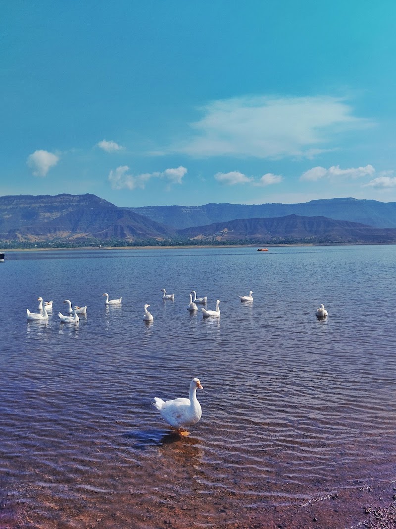 Dhom dam - Dhom dam, Dhom, Maharashtra 412803, India