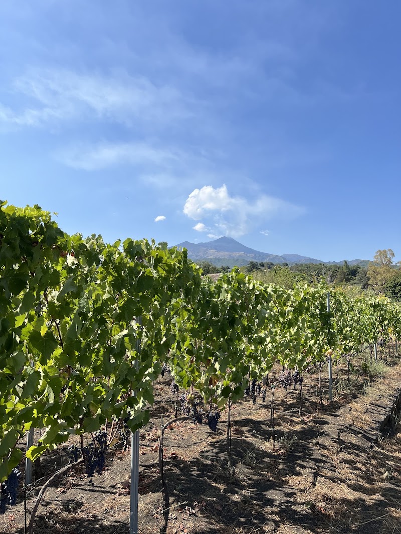 EtnaExcursion - EtnaExcursion Via Dottore Giuseppe Zappala, 45, 95039 Trecastagni CT, Italy