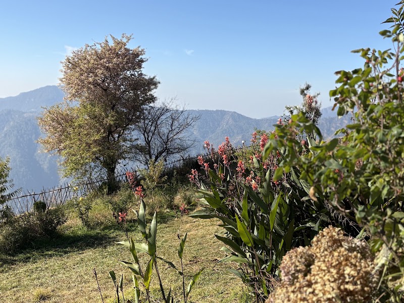 Kanatal stay - Kanatal stay, Chamba ,moossoree road, jadipani, Kanatal, Sakalana Range, Uttarakhand 249145, India