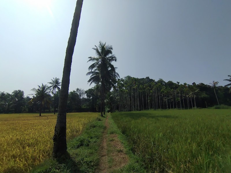 Belthangady - Belthangady, Karnataka, India