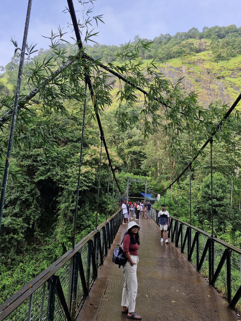 Kerala Holidays Pvt. Ltd. केरल टूर पैकेज - Kerala Holidays Pvt. Ltd. केरल टूर पैकेज, NH Bypass, above Bread World, Thykoodam, Vyttila, Kochi, Kerala 682019, India