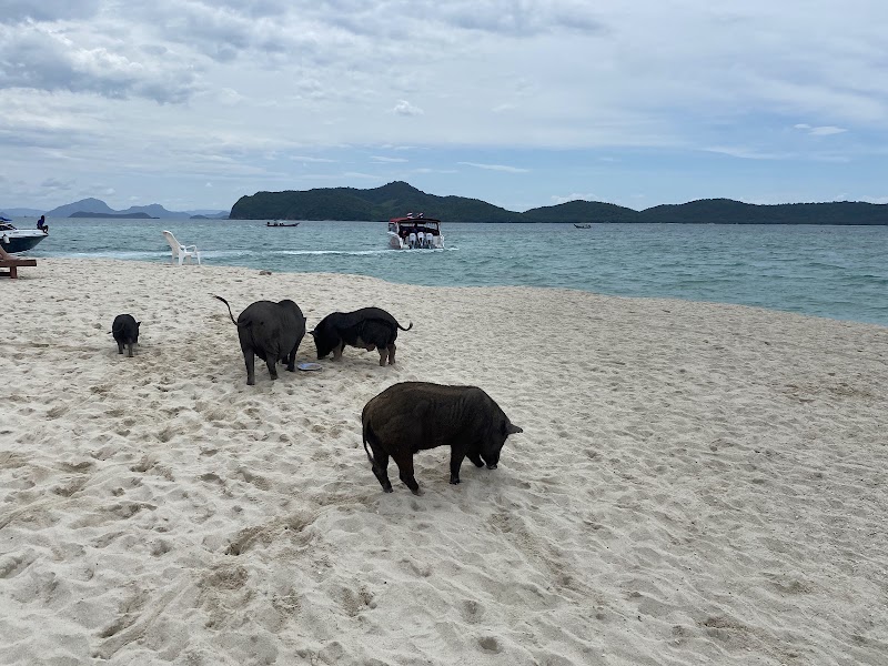 Ko Mat Sum - Ko Mat Sum Ko Mat Sum ตำบล ตลิ่งงาม อำเภอเกาะสมุย สุราษฎร์ธานี Thailand