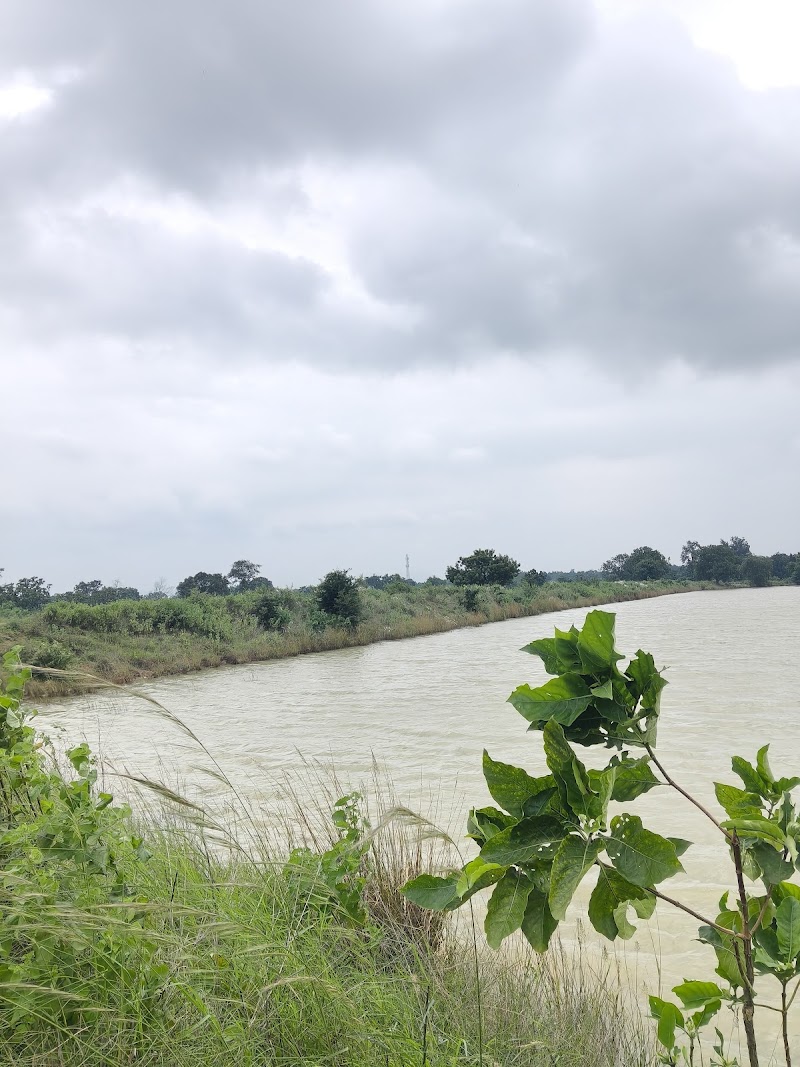 Tikamuda Kata - Tikamuda Kata, 9576+F4J, Nuabarangamal, Odisha 768112, India