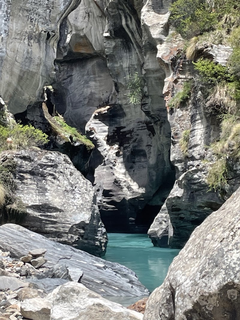 Nanda Devi National Park - Nanda Devi National Park, Garpak, Uttarakhand 246443, India
