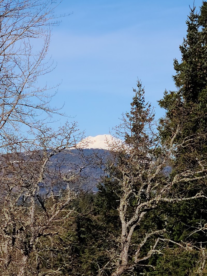 Panorama Point - Panorama Point, Hood River, OR 97031, USA