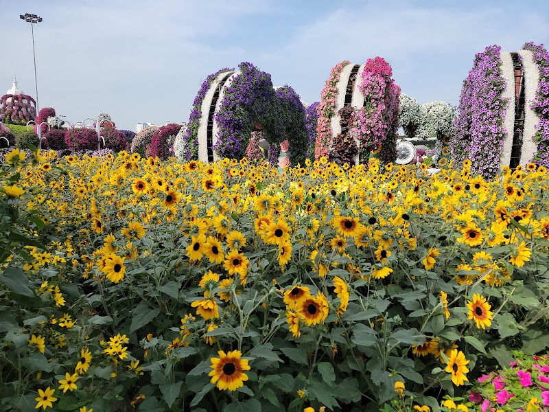 Dubai Miracle Garden - Dubai Miracle Garden Street 3 - Al Barsha South Third - Al Barsha South - Dubai - United Arab Emirates