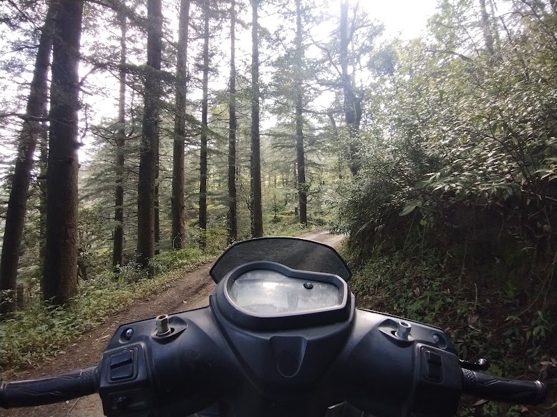 JP Riders - JP Riders Tank Rd, near BArog View PG in, Kotla Nala, Solan, Himachal Pradesh 173212, India