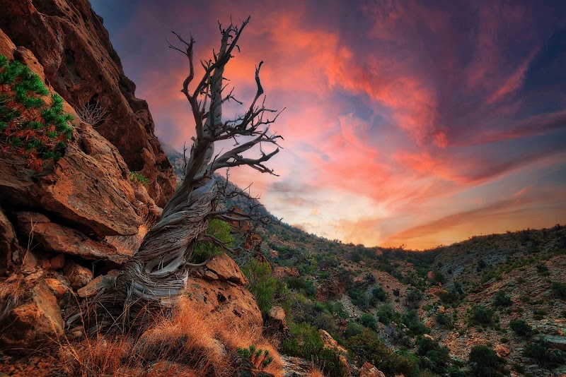 Al Hajar Mountains - Al Hajar Mountains, Oman