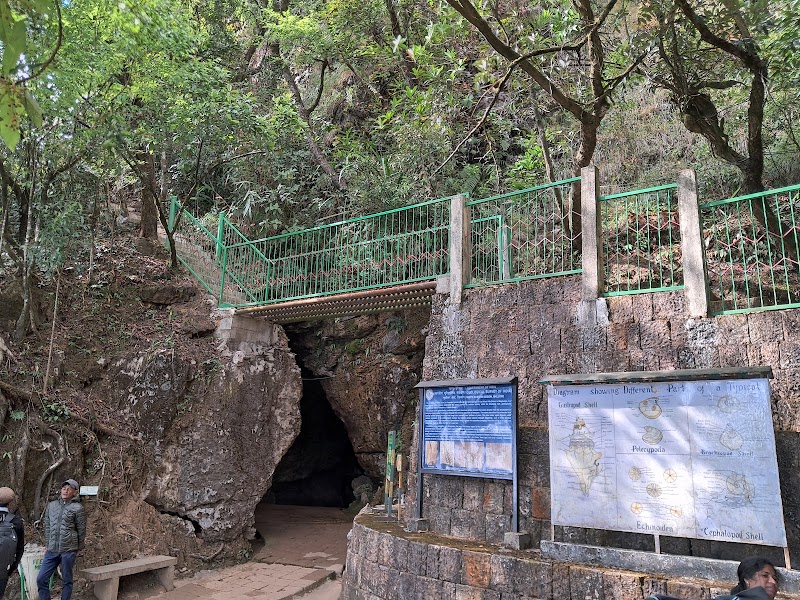 Arwah Cave - Arwah Cave 7PXG+CGH, Sohra, Meghalaya 793108, India