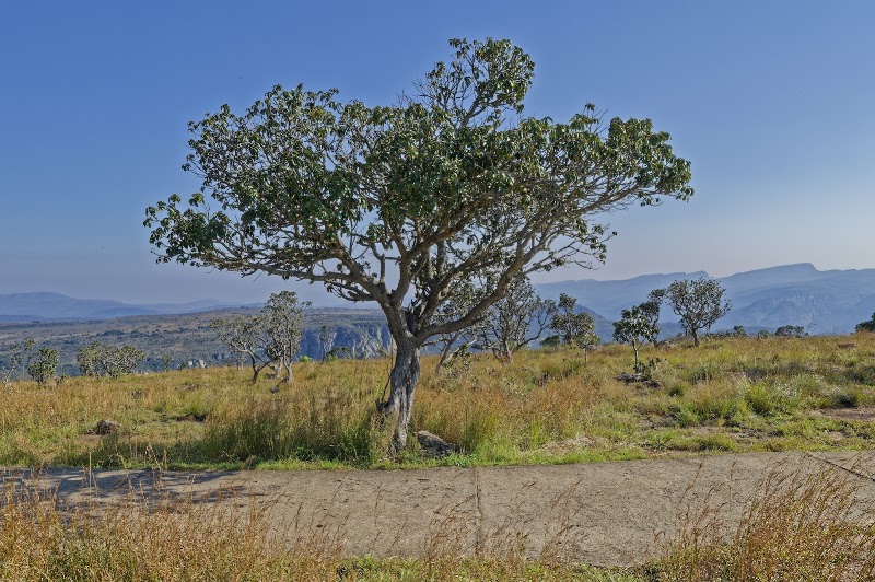 Three Rondavels, Blyde River Canyon - Three Rondavels, Blyde River Canyon, R532, Matibidi, South Africa