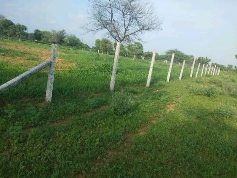Dadar hills jaipur - Dadar hills jaipur 3MJ3+W9J, Jairampura, Rajasthan 303701, India