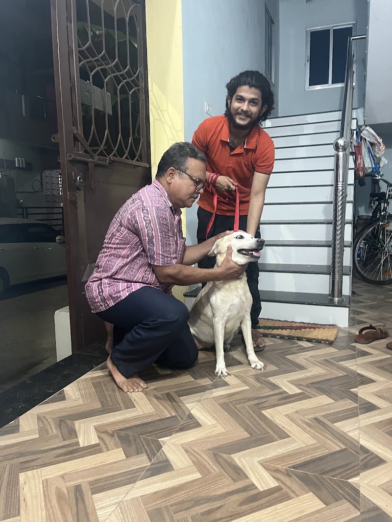 SN Pet Clinic - SN Pet Clinic, Ward No. 18, Ambedkar chowk, Sailashree Vihar, Bargarh, Dang, Odisha 768038, India