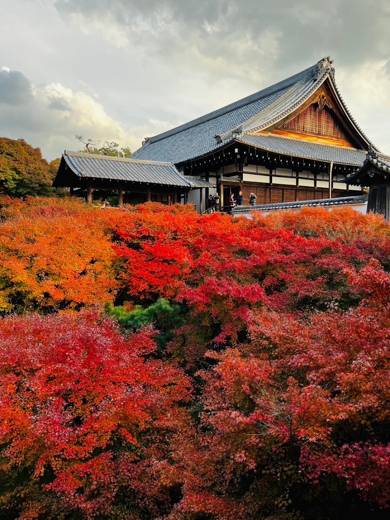 Tōfuku-ji Temple - Tōfuku-ji Temple 15-chōme-778 Honmachi, Higashiyama Ward, Kyoto, 605-0981, Japan