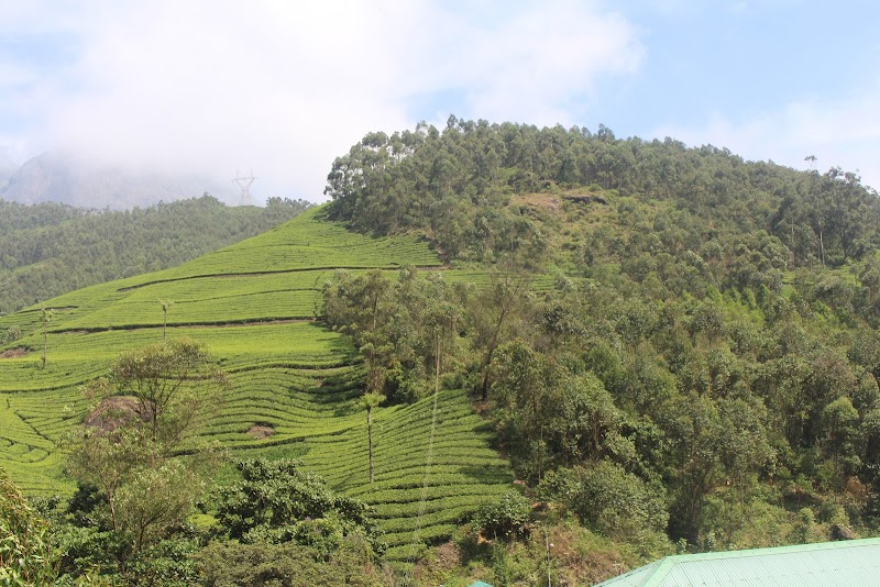 Nayamakad Waterfall - Nayamakad Waterfall 43P6+999, Munnar - Udumalpet Rd, Kannan Devan Hills, Kerala 685612, India