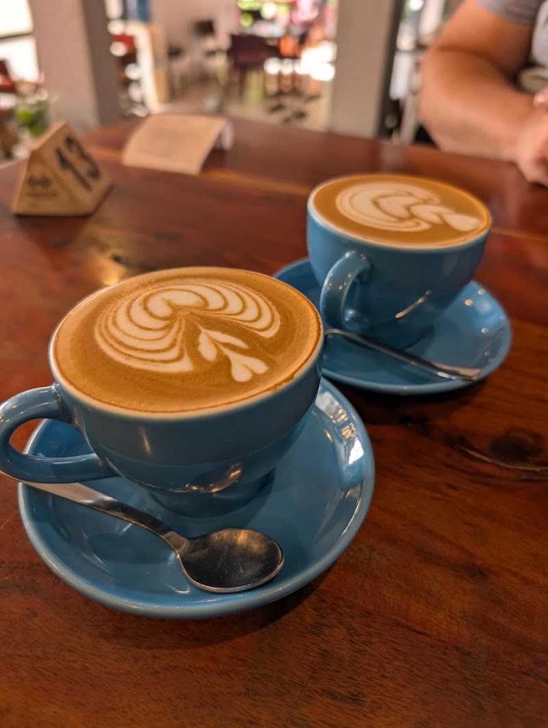 Curious Life Coffee Roasters: RED - Curious Life Coffee Roasters: RED C 54 A, Sarojini Marg, Panch Batti, C Scheme, Ashok Nagar, Jaipur, Rajasthan 302001, India