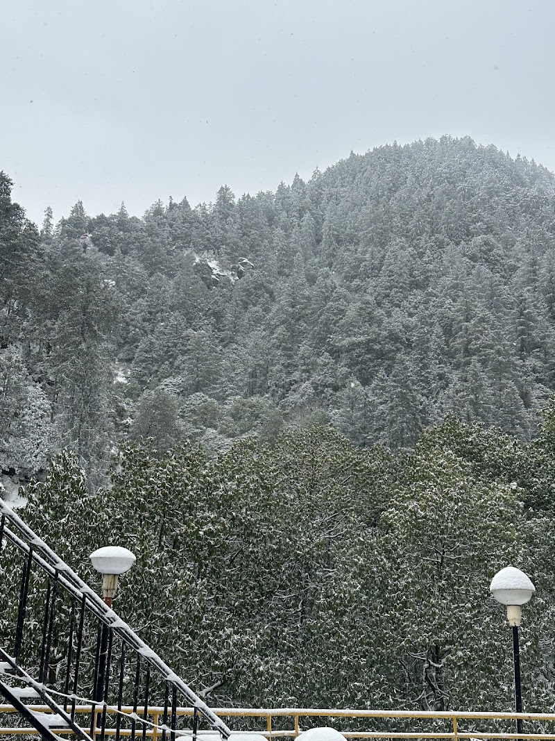 Paradise Hills Dalhousie - Paradise Hills Dalhousie, Dalhousie Rd, Panjpula, Chatryara, Dalhousie, Himachal Pradesh 176304, India