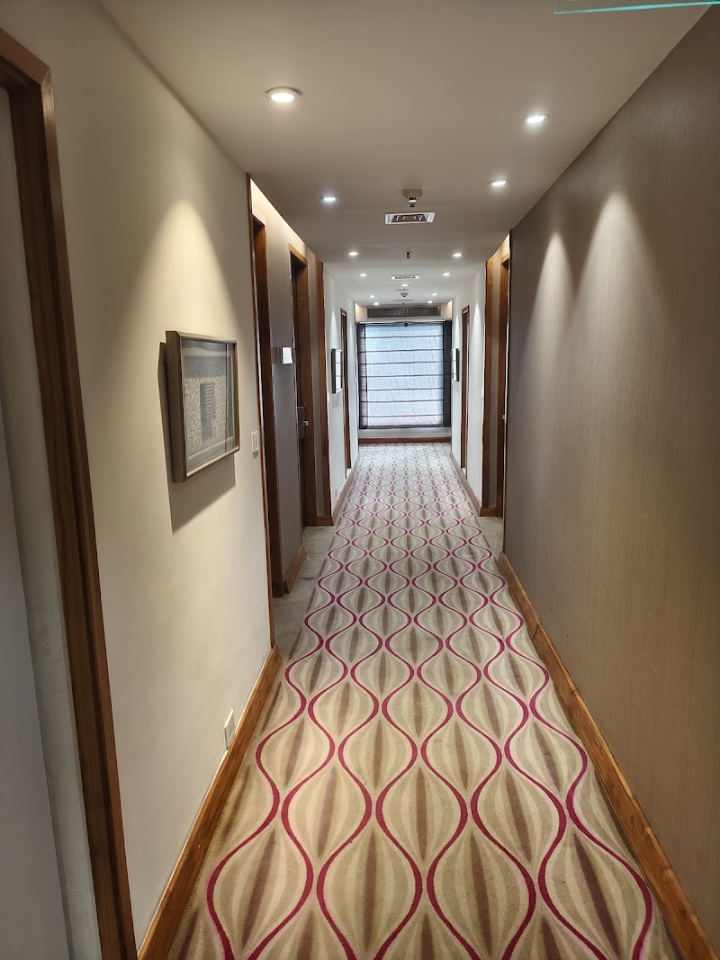 Park Plaza Delhi CBD Shahdara - Park Plaza Delhi CBD Shahdara Plot 32, Central Business Dist, 17/169, Karkari Rd, Bhikam Singh Colony, Block 17, Vishwas Nagar, Shahdara, Delhi, 110032, India
