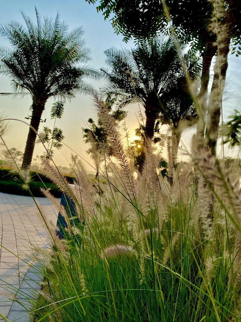 Maple 3 Park - Dubai Hills Estate - Maple 3 Park - Dubai Hills Estate, Unnamed Road - 4734+XGW - حدائق الشيخ محمد بن راشد - دبي - United Arab Emirates