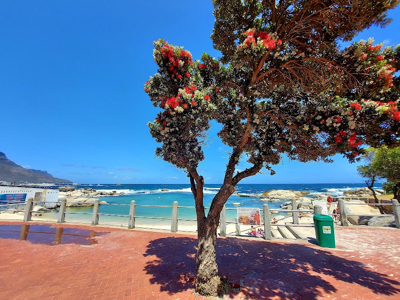 Camps Bay Tidal Pool - Camps Bay Tidal Pool, Bakoven, Cape Town, 8005, South Africa