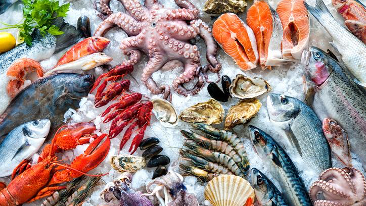 Fish palace - Fish palace, Crooswijkseweg 86, 3034 HM Rotterdam, Netherlands