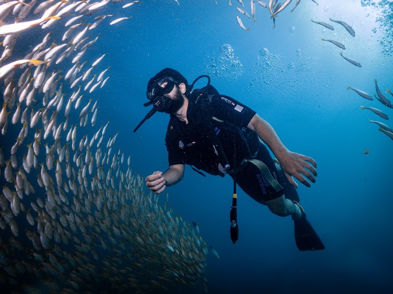 Princess Divers - Scuba Diving Phi Phi Island - Princess Divers - Scuba Diving Phi Phi Island 103 Phi Phi Island Tambon Ao Nang, Krabi Chang Wat Krabi 81000, Thailand