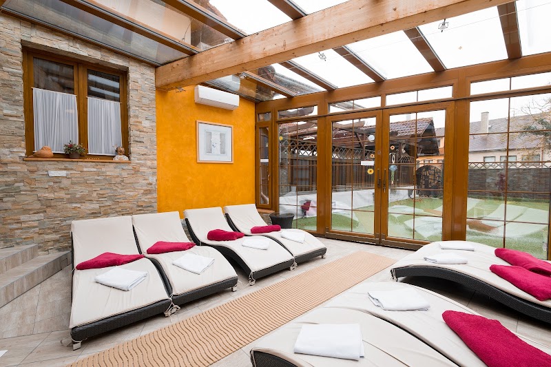 Hotel Maxant Frymburk - Hotel Maxant Frymburk, Frymburk 80, 382 79 Frymburk, Czechia