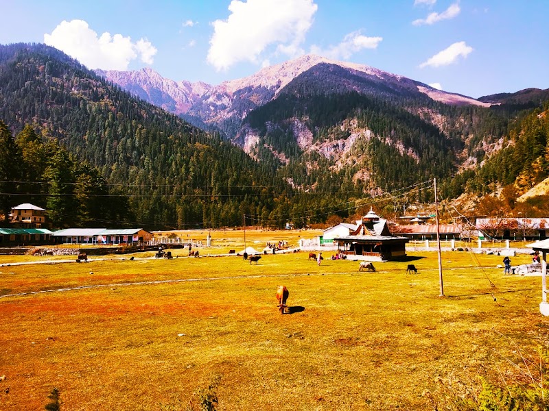 Hill's Guest Home Stay - Hill's Guest Home Stay, Sarahan, Himachal Pradesh 172002, India