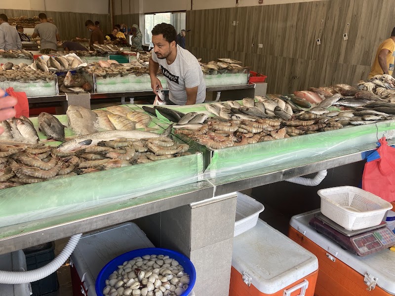 Jumeirah Fish Market سوق البحر للاسماك - Jumeirah Fish Market سوق البحر للاسماك Jumeirah 3 - Umm Suqeim 1 - Dubai - United Arab Emirates