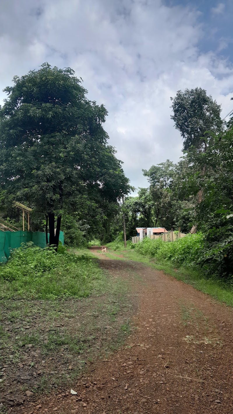 The Rainforest Story by Bosque Farmstay Karjat - The Rainforest Story by Bosque Farmstay Karjat, Bosque Stay plot 09 , Peth (Kothligad) Ambivali , Ambivali T kothal khalati Vanvihar, Karjat, Ambiwadi T. Kothal Khalati, Maharashtra 410201, India