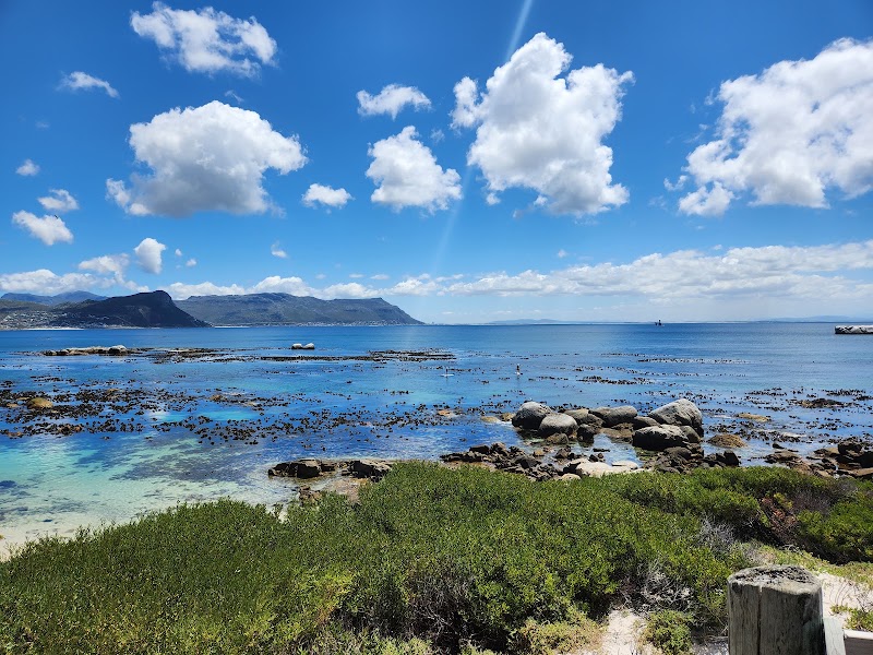 Boulders Beach - Boulders Beach, Simon's Town, Cape Town, 7995, South Africa