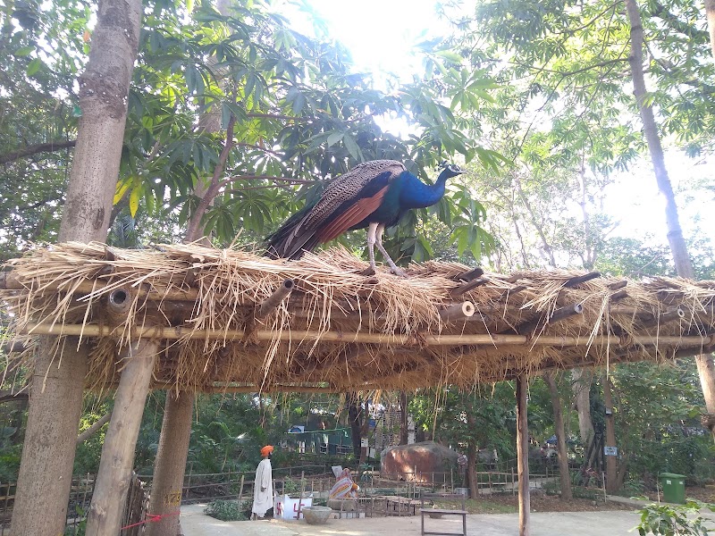 Bhavan's Nature And Adventure Centre - Bhavan's Nature And Adventure Centre Bhavan’s Campus, New Dadabhai Rd, Old D N Nagar, Munshi Nagar, Andheri West, Mumbai, Maharashtra 400058, India