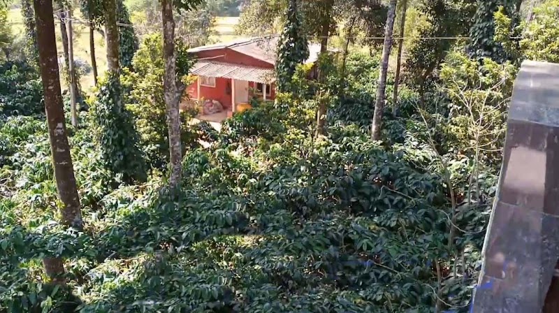 coorg cauvery home stay-estate stay - coorg cauvery home stay-estate stay Mekeri village, Kaggodlu post, Madikeri, Kaggodlu, Karnataka 571201, India