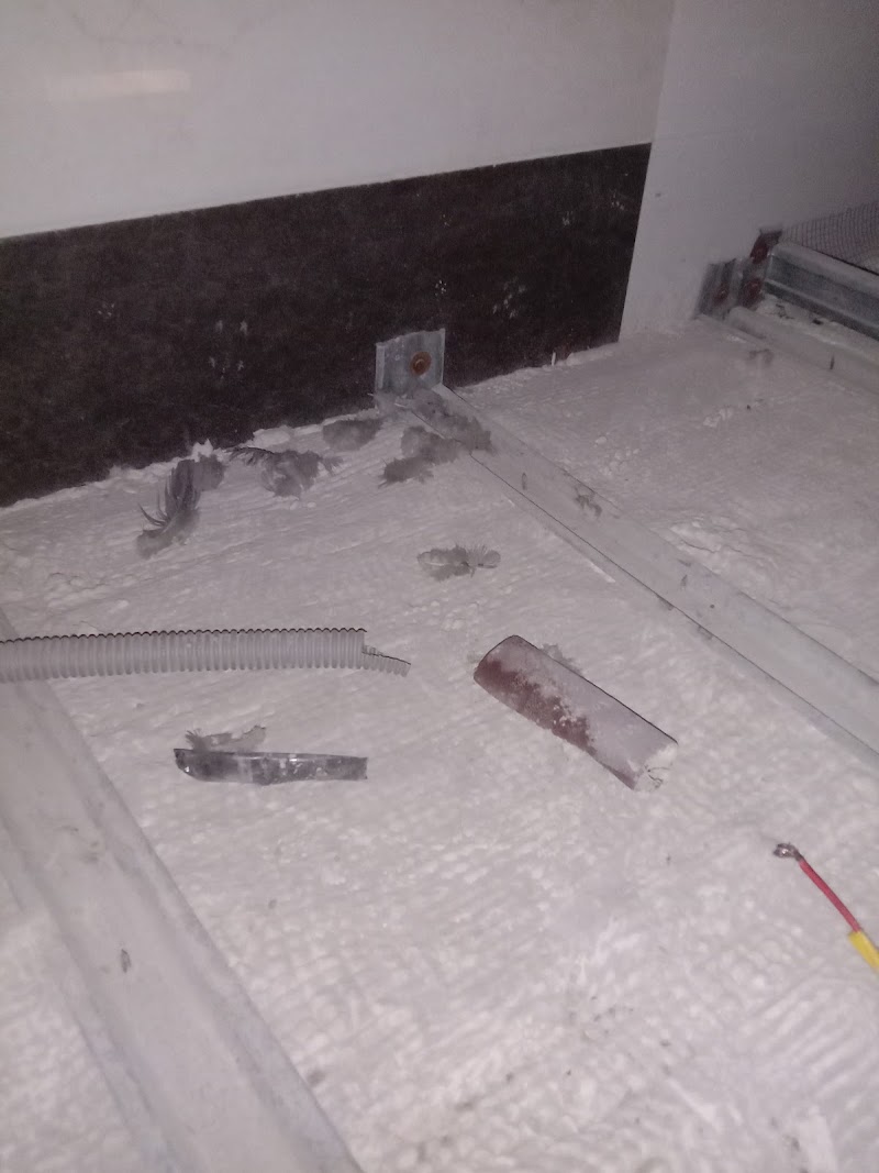 Your space Boys Hostel - Shakti Nagar, Delhi - Your space Boys Hostel - Shakti Nagar, Delhi 23/2, Inder Chandra Shastri Marg, near Indusind Bank, Block 19, Shakti Nagar, Delhi, 110007, India