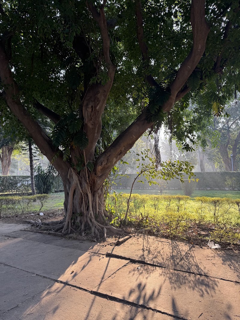 Leisure Valley - Leisure Valley 10B, Sector 10B, Chandigarh, 160011, India