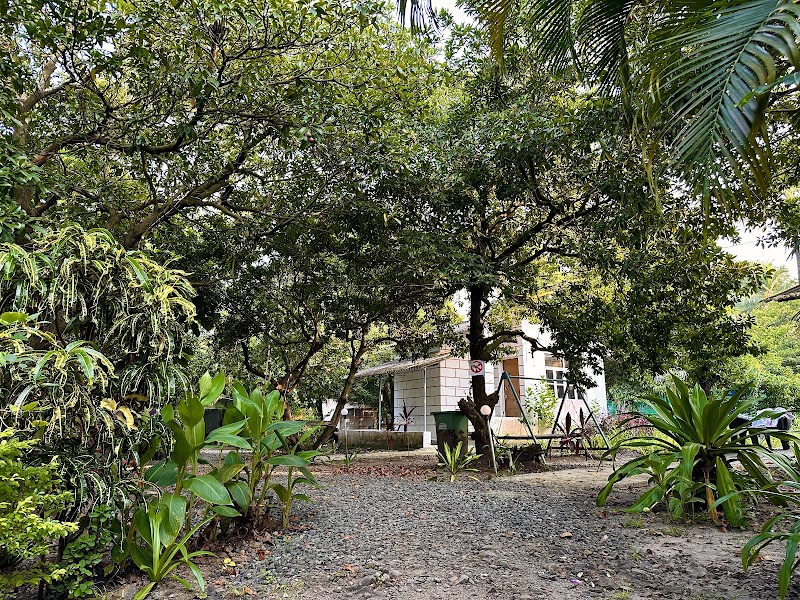 Gaarva Farmstay - Gaarva Farmstay 3QW4+5C GAARVA CAMPS, Jambugaon, Maharashtra 401702, India