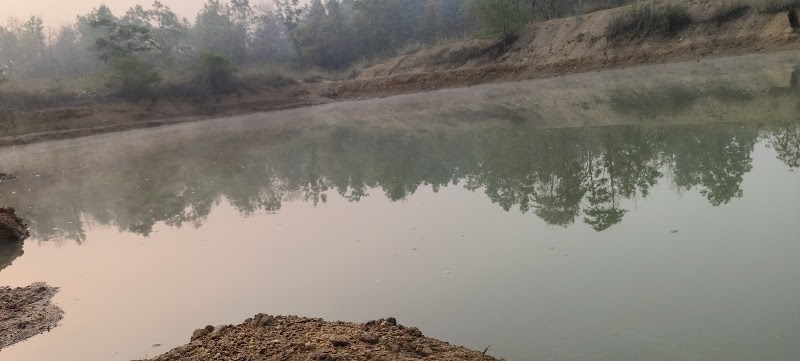Doro ban - Doro ban, XMG8+GX, Naktamunda, Odisha 767019, India