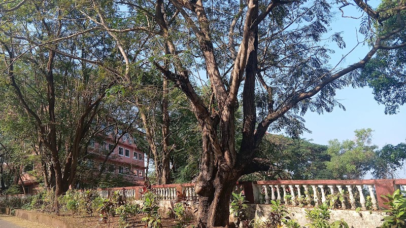 St. Xaviers Higher Secondary School - St. Xaviers Higher Secondary School, Duler-Marna-Siolim Rd, near Mapusa, Housing Board, Mapusa, Goa 403507, India