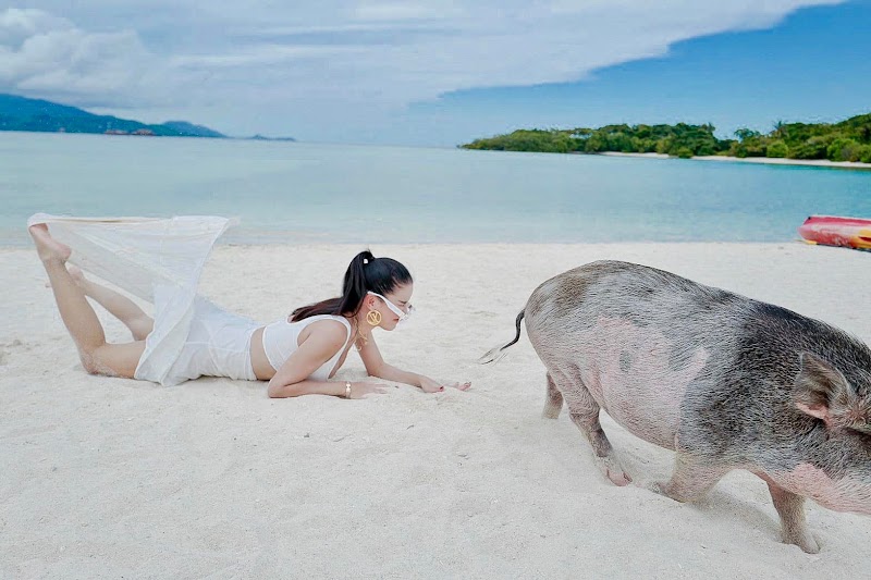 Ko Mat Sum - Ko Mat Sum Ko Mat Sum ตำบล ตลิ่งงาม อำเภอเกาะสมุย สุราษฎร์ธานี Thailand