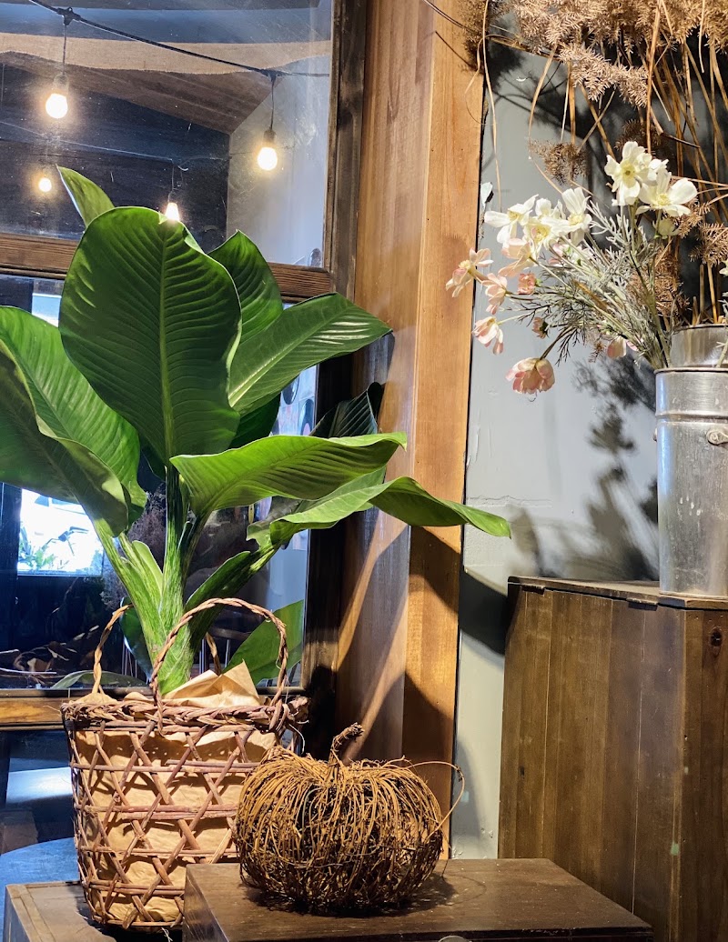 Little Dalat - Yết Kiêu - Little Dalat - Yết Kiêu 18D Đ. Yết Kiêu, Nha Trang, Khánh Hòa 650000, Vietnam