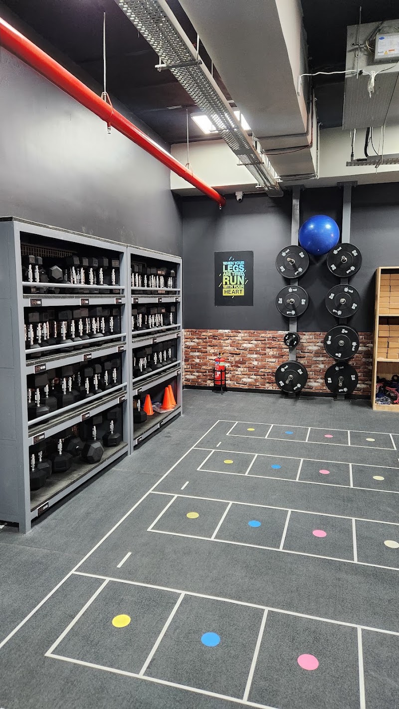 Cult Gym Kothrud | Best Gym in Kothrud, Pune - Cult Gym Kothrud | Best Gym in Kothrud, Pune, 4th floor, REVOLUTION MALL, near City Pride Multiplex, above Star Bazar, Paschimanagri, Kothrud, Pune, Maharashtra 411038, India